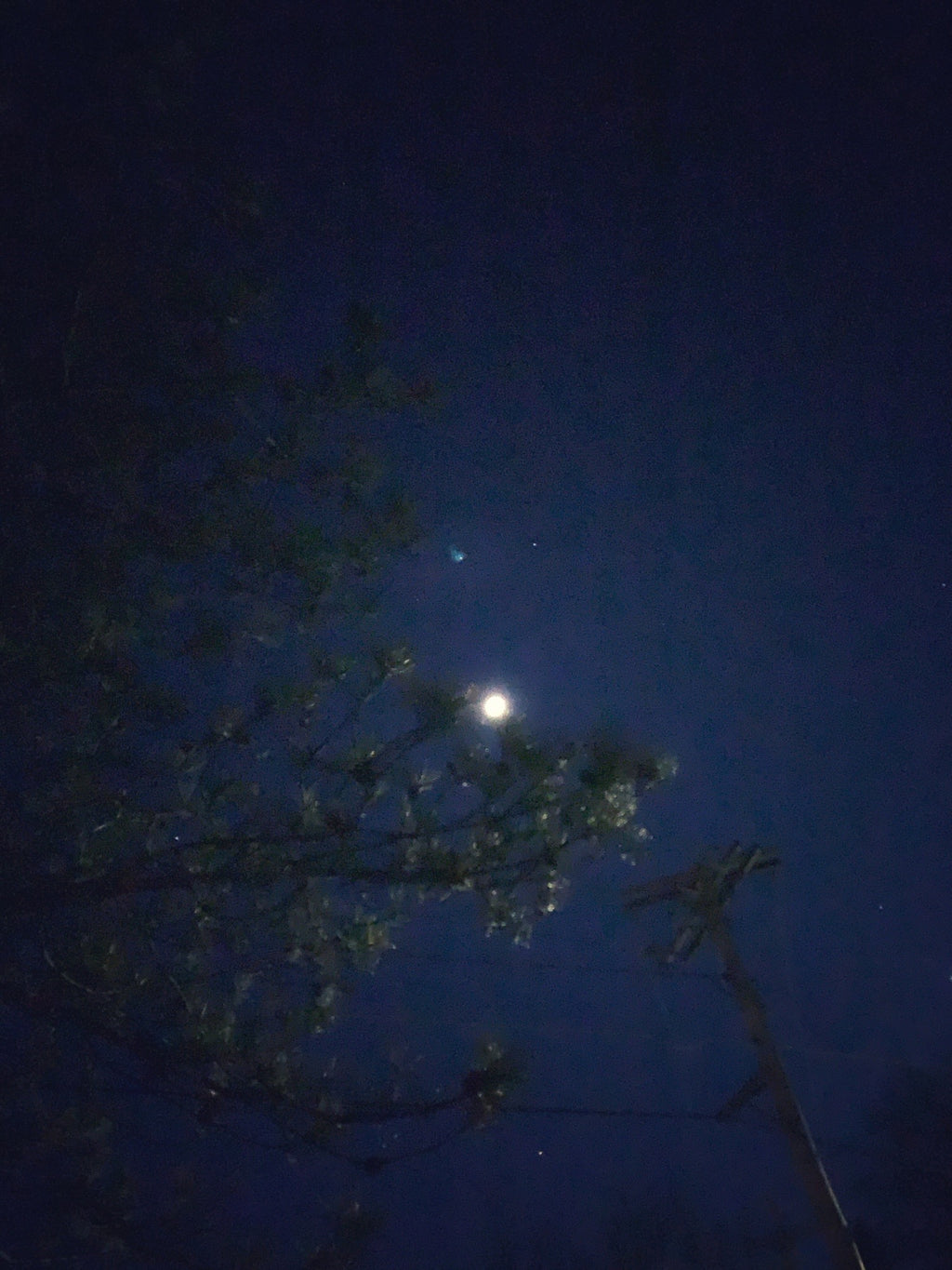 Moonlit night in Canandaigua