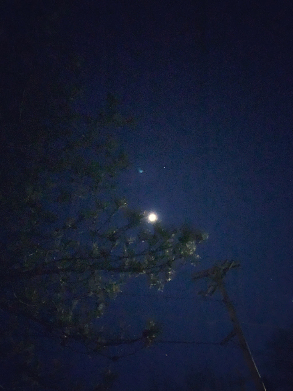 Moonlit night in Canandaigua