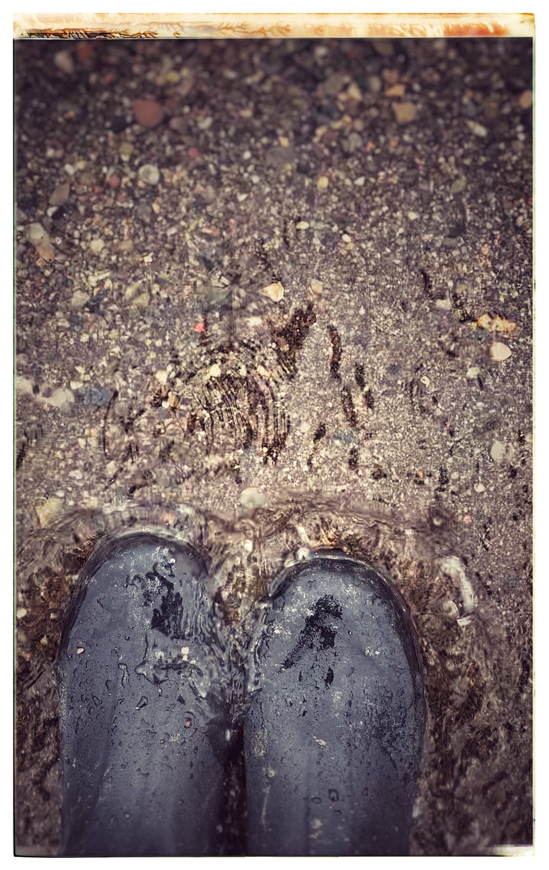 Erica Bapst's mud boots as she goes fossiling on Canandaigua Lake