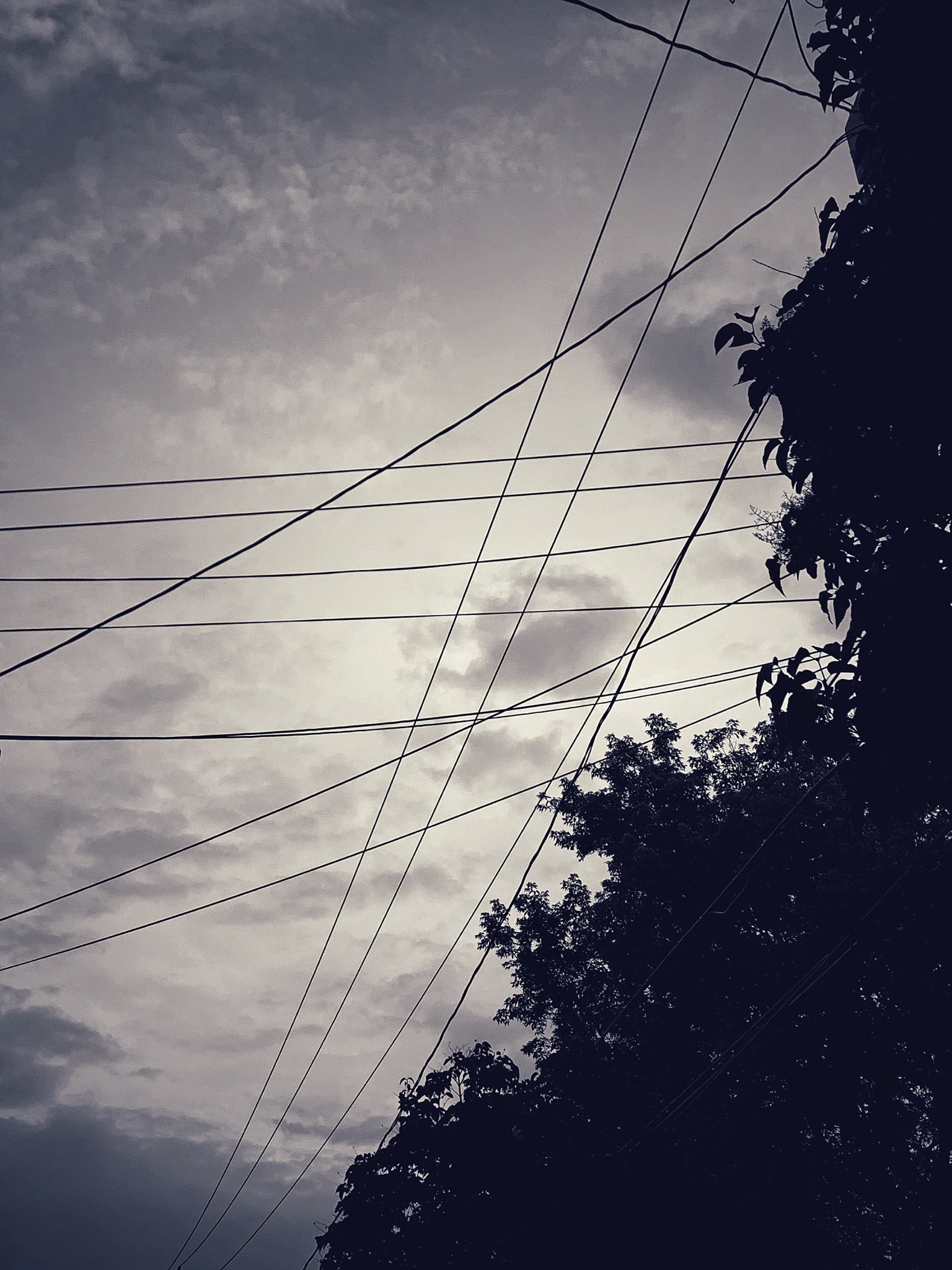 A multitude of electric lines and cables crossing in every direction