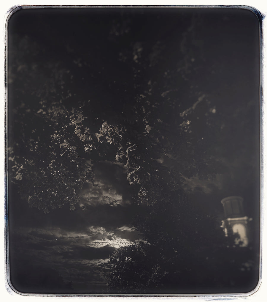 Moonstruck