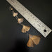 Oxidized brass ginkgo leaf earrings in five sizes shown with ruler.